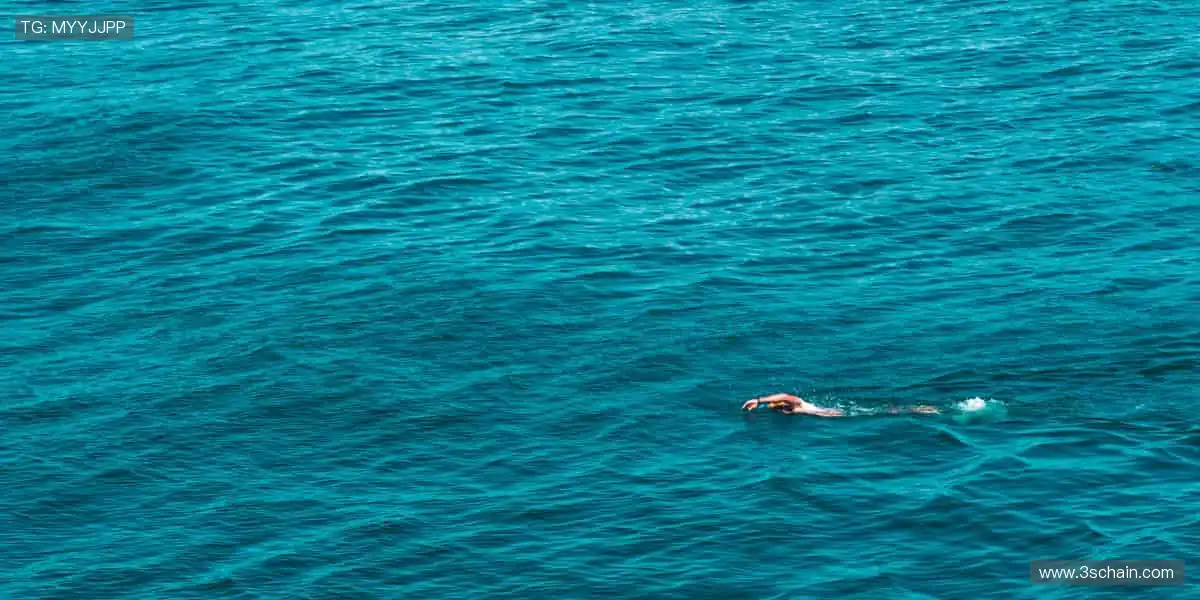 📱【指尖掌控】一键切换赛场,精彩永不缺席!